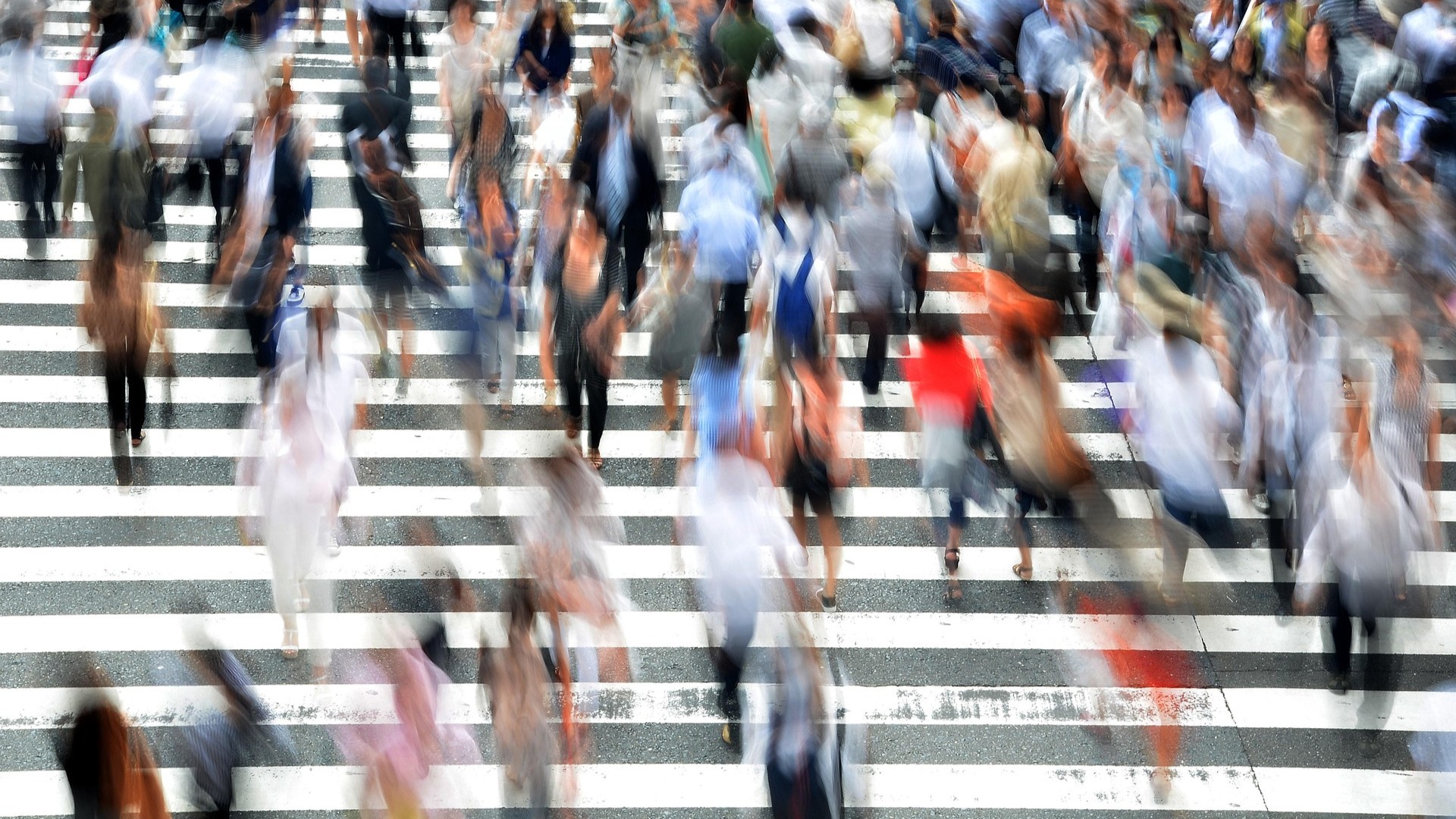 crowd